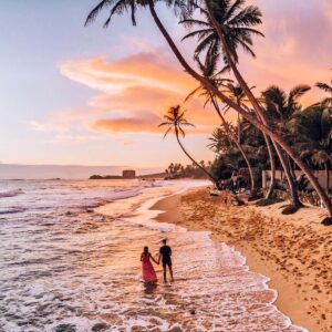 Savoring Sri Lanka: Sri lanka  4-Days Tour